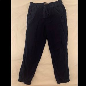JCrew Navy Point-Sur Pants